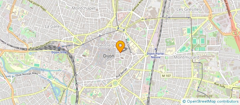 localisation de l'entreprise CAMELEON FRANCE à DIJON