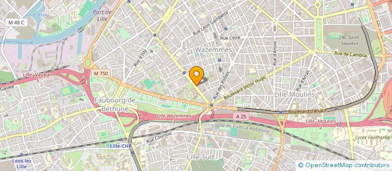 localisation de l'entreprise CAMELEON SA à LILLE