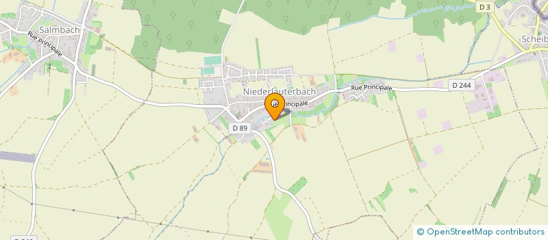 localisation de l'entreprise CAMELLIA  NIEDERLAUTERBACH