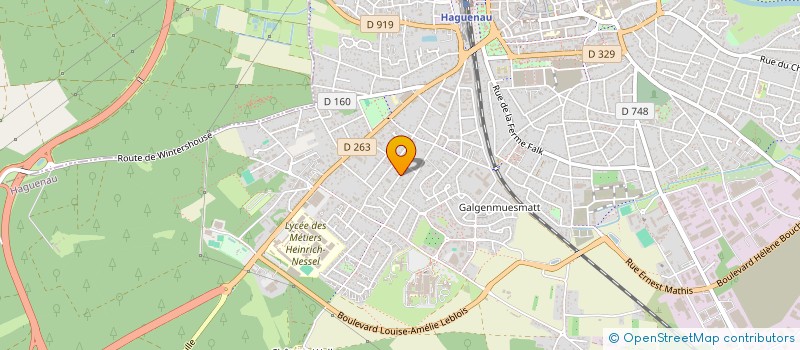 localisation de l'entreprise CAMILEA  HAGUENAU