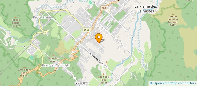 localisation de l'entreprise CAMINO  LA PLAINE-DES-PALMISTES