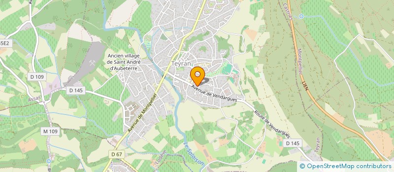 localisation de l'entreprise CAMMAN FAMILY  TEYRAN