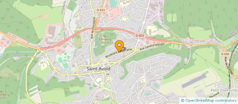 localisation de l'entreprise CAMO 1 à SAINT-AVOLD