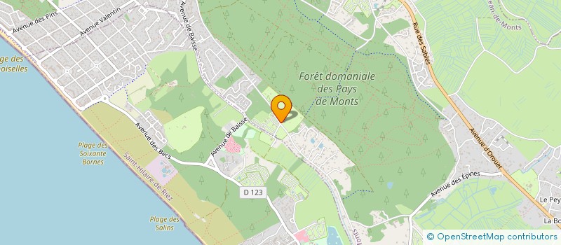 localisation de l'entreprise CAMPING DES PINEDES DE LA CAILLAUDERIE à SAINT-JEAN-DE-MONTS