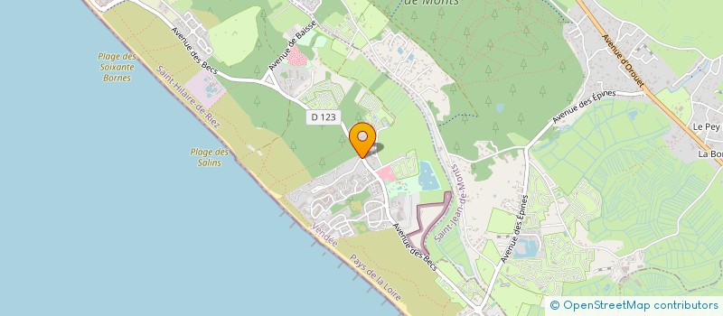 localisation de l'entreprise CAMPING LES OMBRAGES à SAINT-HILAIRE-DE-RIEZ