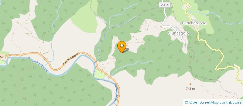 localisation de l'entreprise CAMPU VERDE à GIUNCAGGIO