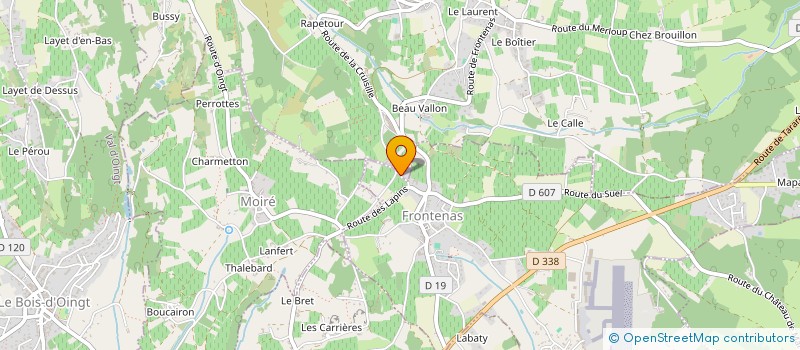 localisation de l'entreprise CANELAS CONSTRUCTION à THEIZE