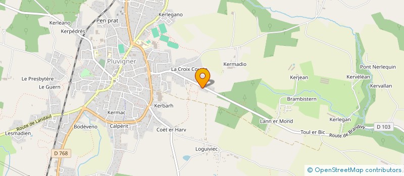 localisation de l'entreprise CANIBREIZH  PLUVIGNER