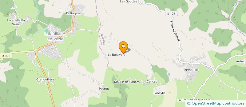 localisation de l'entreprise CANIS ET FILS à LADINHAC