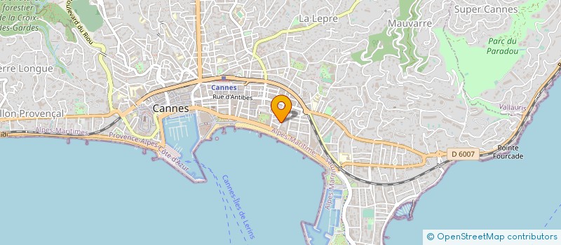 localisation de l'entreprise CANNES CENTRE CROISETTE  CANNES