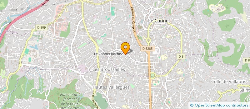 localisation de l'entreprise CANNES VTC GREEN LUX DRIVER à LE CANNET