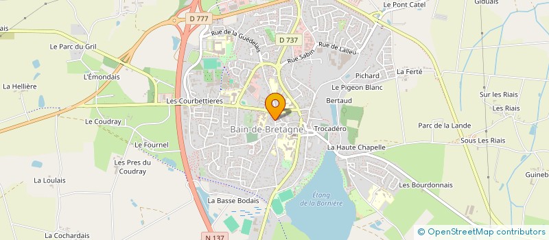 localisation de l'entreprise CANTINE DE L ECOLE PUBLIQUE  BAIN-DE-BRETAGNE