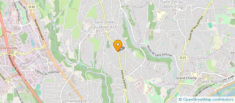 localisation de l'entreprise CAP ADVISORY  SAINT-DIDIER-AU-MONT-D'OR