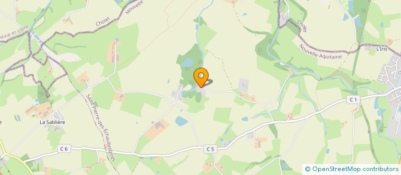 localisation de l'entreprise CAP'ANIMATION  SAINT-PIERRE-DES-ECHAUBROGNES