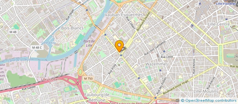 localisation de l'entreprise CAP CONSULT à LILLE