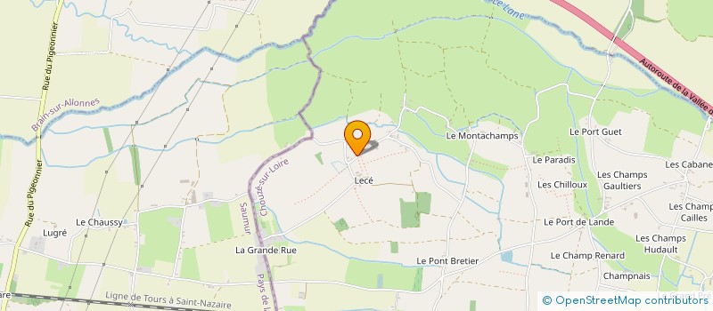 localisation de l'entreprise CAP DV CONSEILS  CHOUZE-SUR-LOIRE