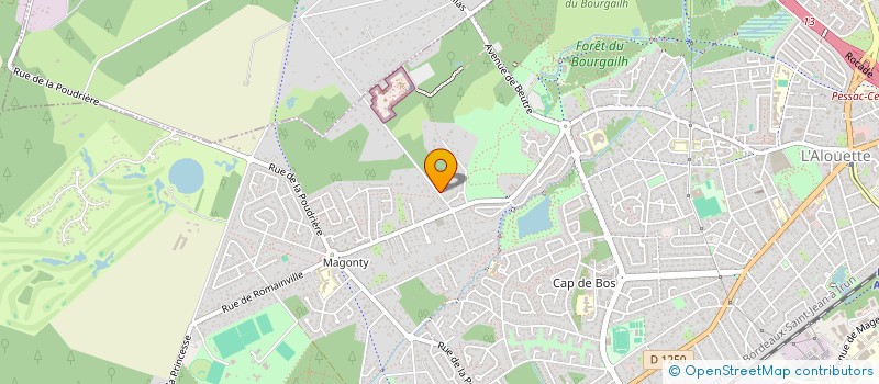 localisation de l'entreprise CAP-EST  PESSAC