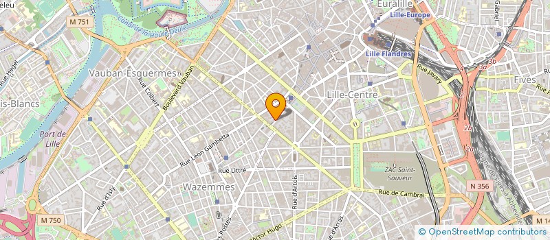 localisation de l'entreprise CAP EXPERT CONSEIL à LILLE