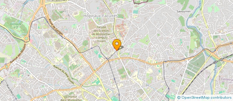 localisation de l'entreprise CAP MISSIO à MONTPELLIER