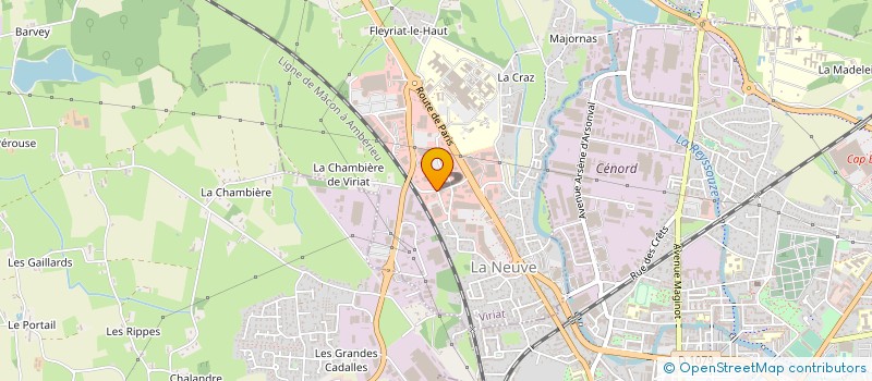 localisation de l'entreprise CAPDIS  VIRIAT