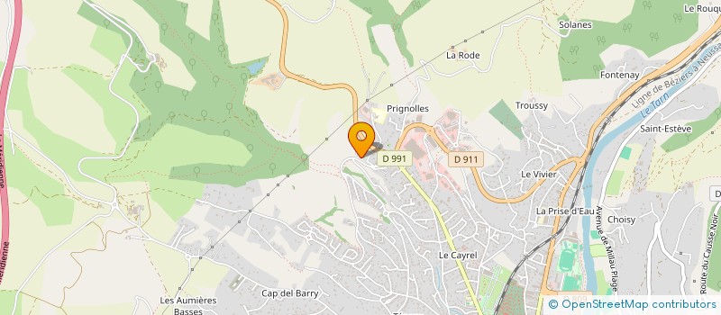localisation de l'entreprise CAPDIS à MILLAU