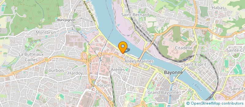 localisation de l'entreprise CAPELLA-IARD à BAYONNE