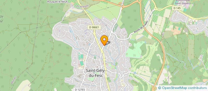 localisation de l'entreprise CAPELLILOC34  SAINT-GELY-DU-FESC