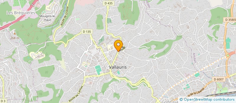 localisation de l'entreprise CAPITALYS ADAM à VALLAURIS