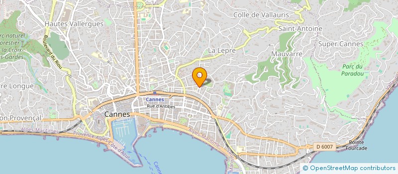 localisation de l'entreprise CAPODIMO  CANNES