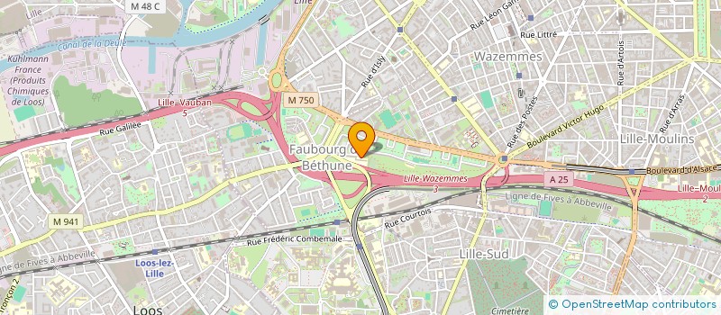 localisation de l'entreprise CAPRICORNE à LILLE