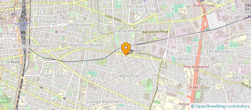 localisation de l'entreprise CAPSLIM à LYON