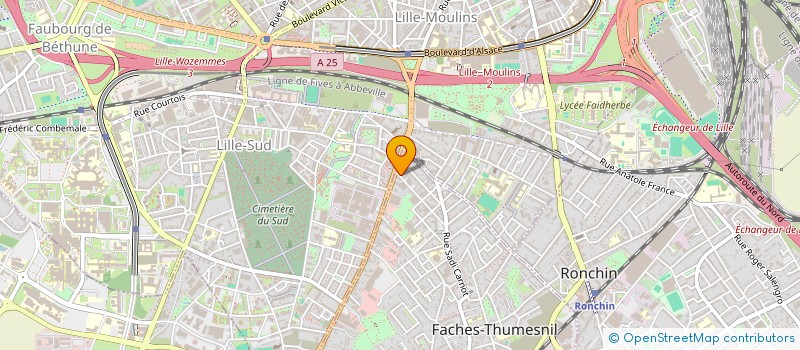 localisation de l'entreprise CAR DRIVE à FACHES-THUMESNIL