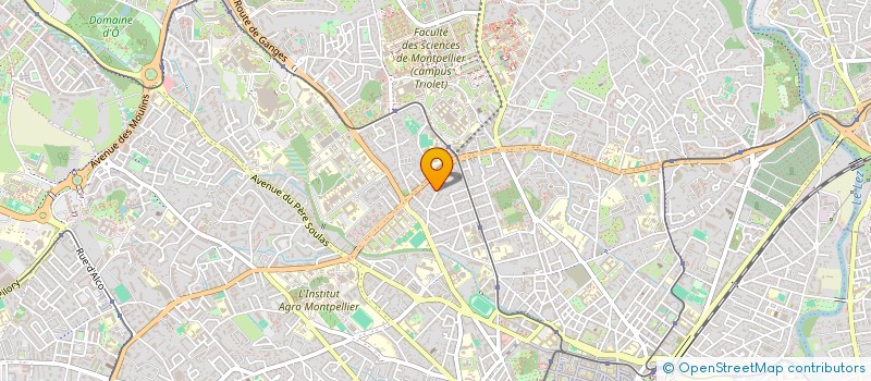 localisation de l'entreprise CARA / MERINO FUENTES à MONTPELLIER