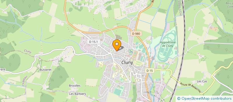 localisation de l'entreprise CARAE COACHING  CLUNY