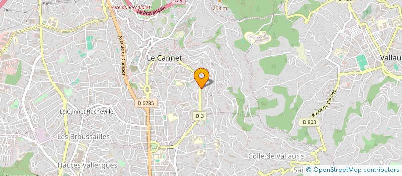 localisation de l'entreprise CARAFUTA à LE CANNET