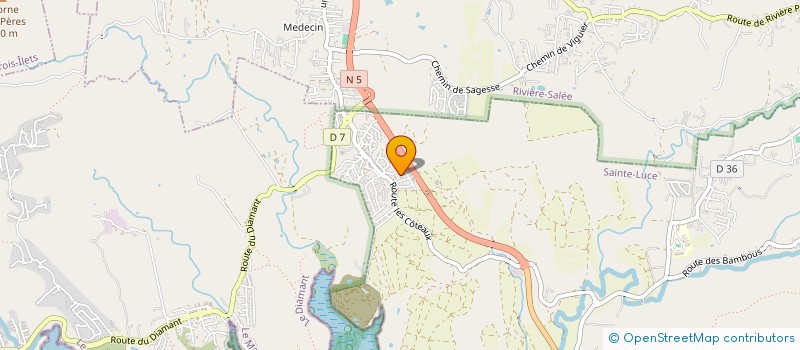 localisation de l'entreprise CARAIBES GLOBAL INGENIERING  SAINTE-LUCE