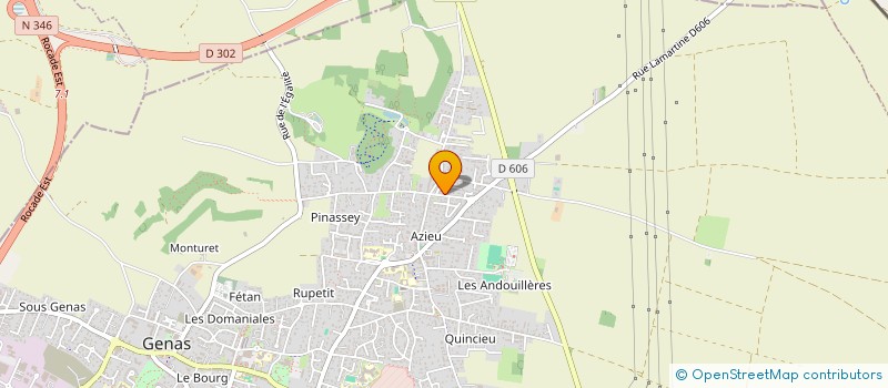 localisation de l'entreprise CARCISIS  GENAS