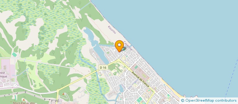 localisation de l'entreprise CARECA BRAZILIAN JIU JITSU IRON FITNESS à KOUROU