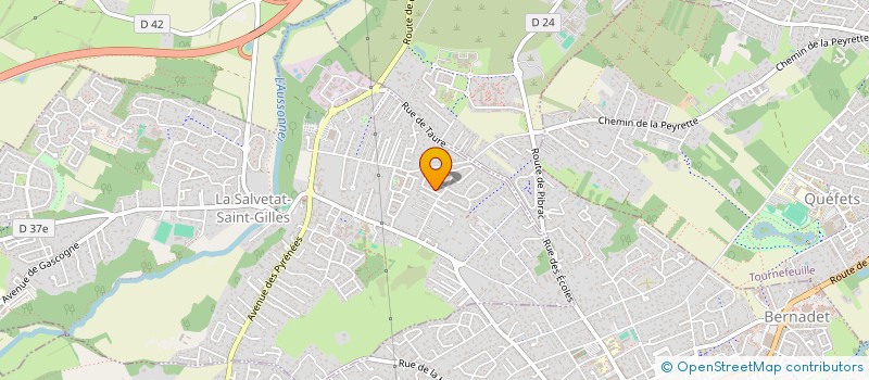 localisation de l'entreprise CARGO NEPTUNE  LA SALVETAT-SAINT-GILLES