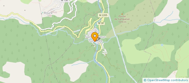 localisation de l'entreprise CARIZZONI SOFTWARE à SAINT-SAUVEUR-SUR-TINEE