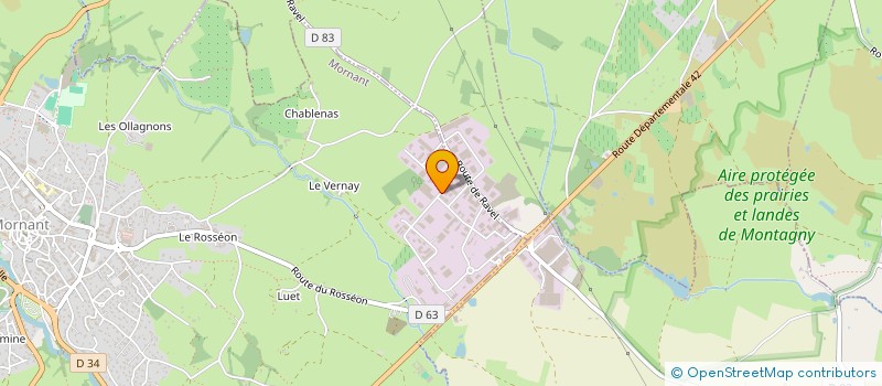 localisation de l'entreprise CARL ELEC  MORNANT