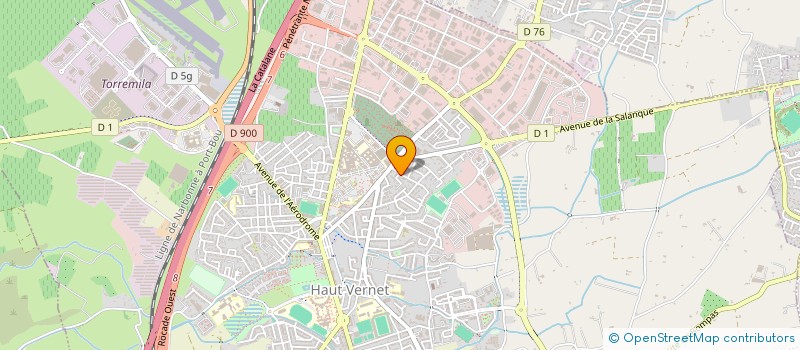 localisation de l'entreprise CARLIT CONSULTANTS  PERPIGNAN