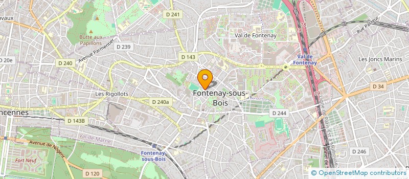 localisation de l'entreprise CARMEN BIZET  FONTENAY-SOUS-BOIS