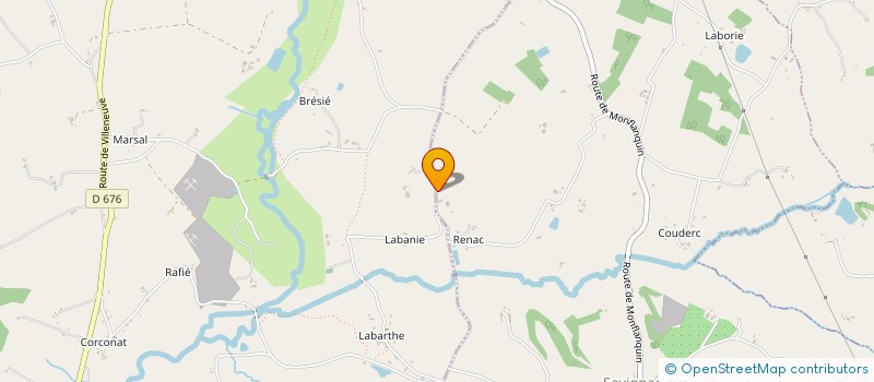 localisation de l'entreprise CARNEJAC SCHMUTZ  SAVIGNAC-SUR-LEYZE