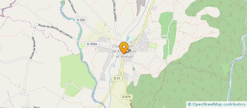 localisation de l'entreprise CARO H  SAINT-JEAN-DE-MARUEJOLS-ET-AVEJAN