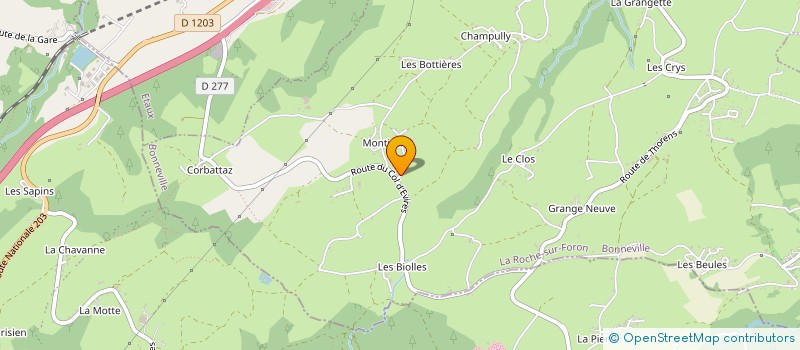 localisation de l'entreprise CARO SANITAIRE ET CHAUFFAGE  LA ROCHE-SUR-FORON