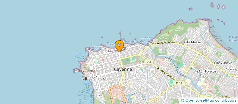 localisation de l'entreprise CARODEM  CAYENNE