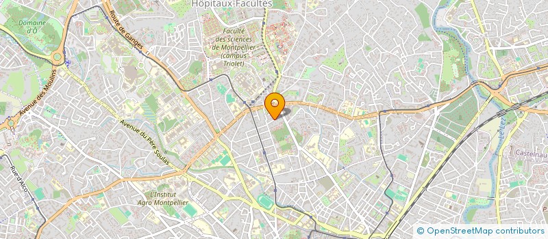 localisation de l'entreprise CAROLINE TERRAL à MONTPELLIER