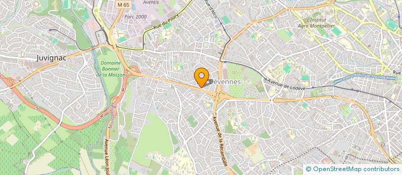 localisation de l'entreprise CARPE DIEM à MONTPELLIER