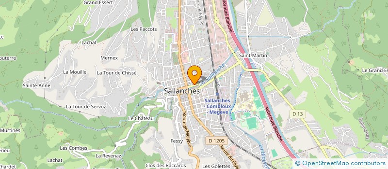 localisation de l'entreprise CARPE DIEM  SALLANCHES